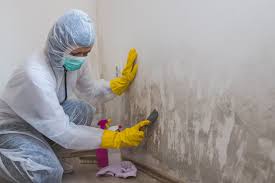 Best Mold Prevention Services  in Moundridge, KS